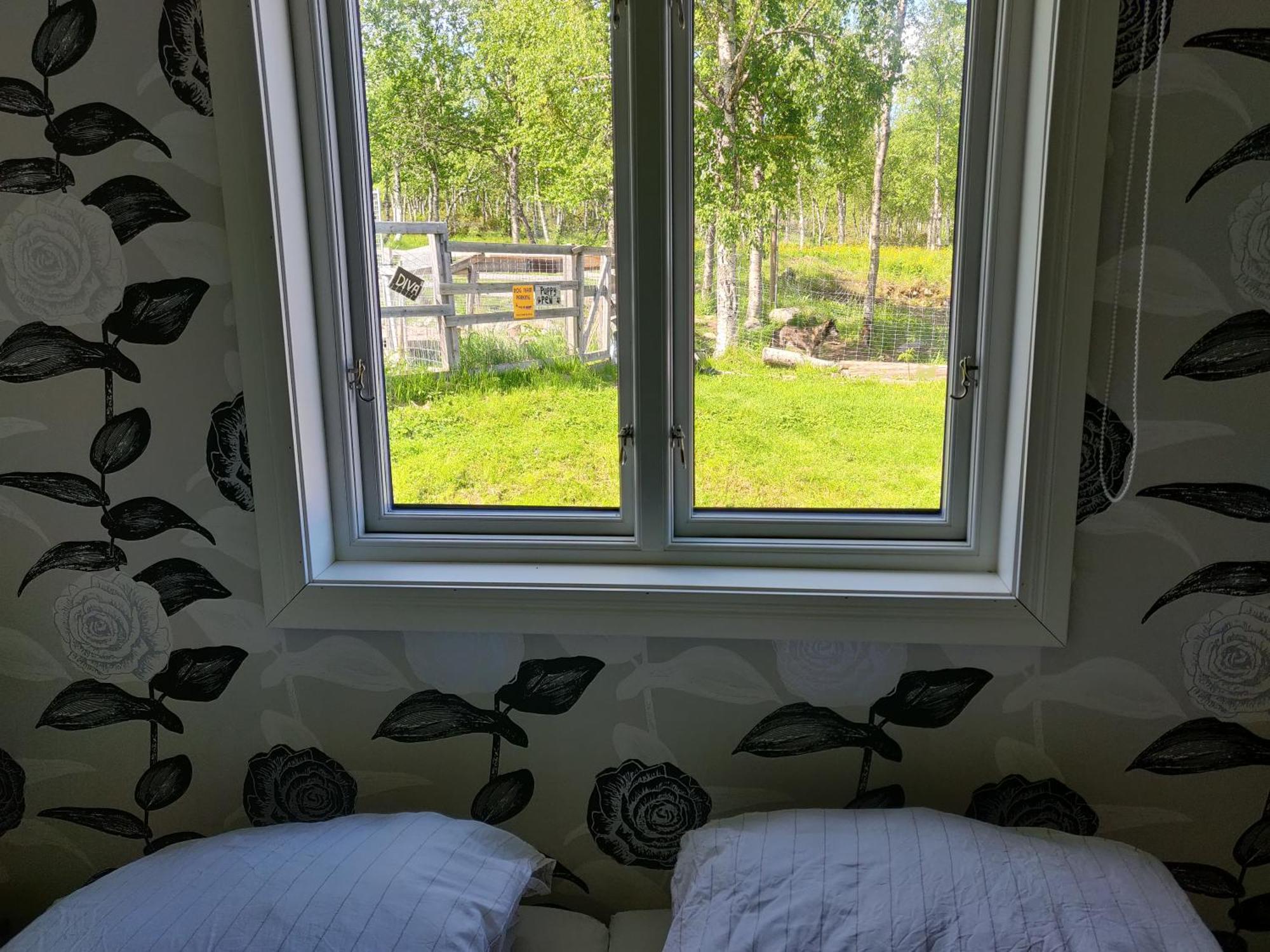 Husky Lodge Hostel Kiruna Habitación foto